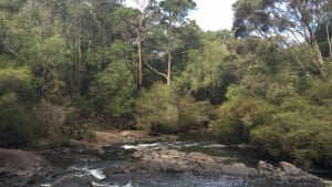Tourism WA live streams a stream